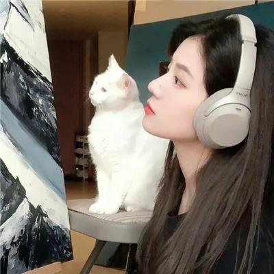 儍女和番 海报